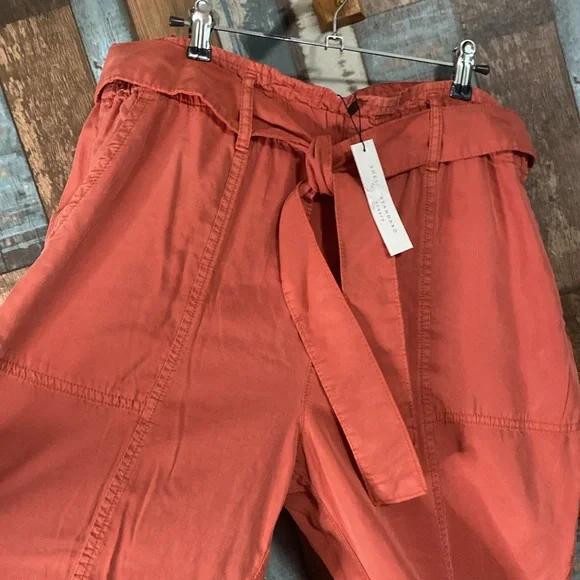 Social standard melody drapery tencel fabric belted pants - Picture 4 of 13